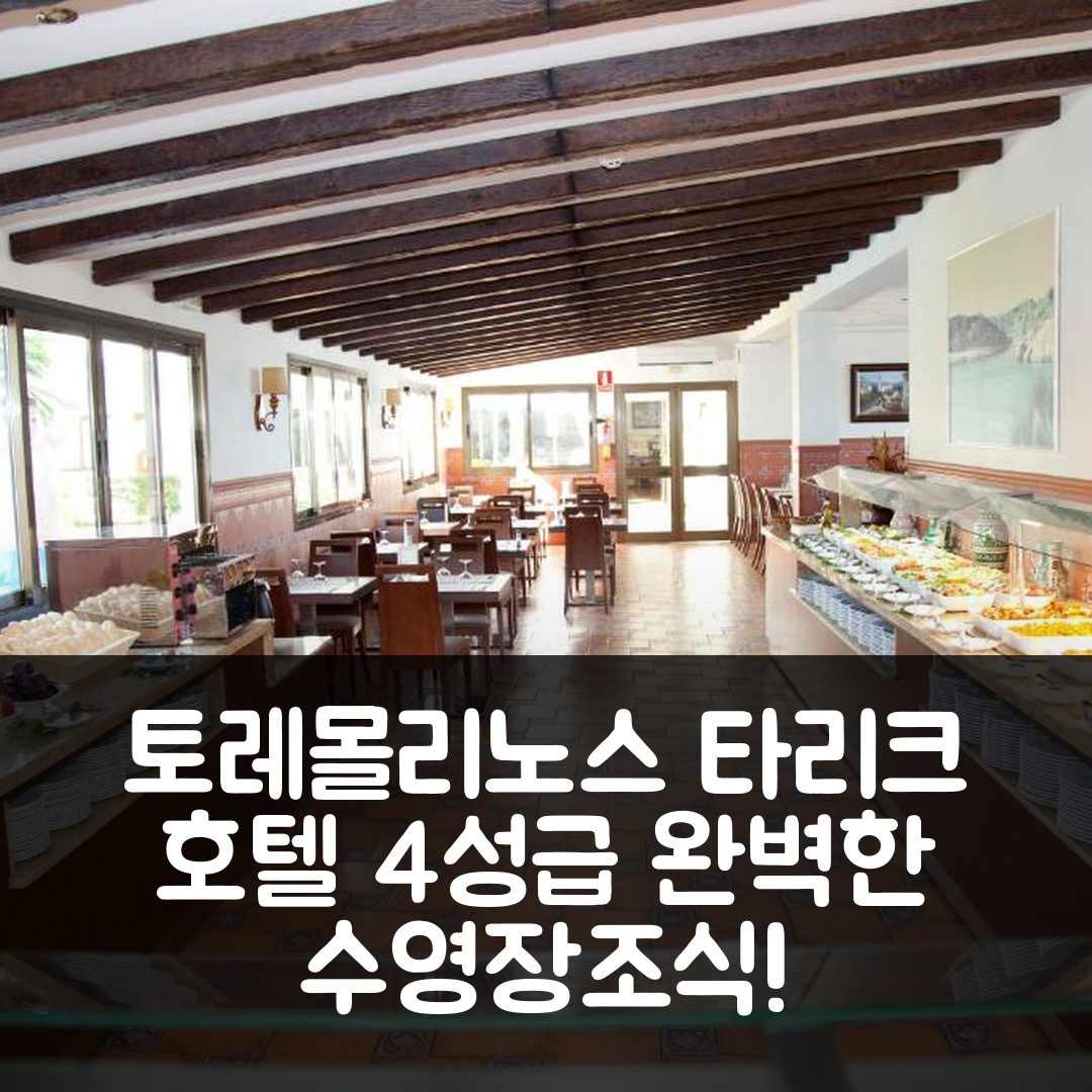 토레몰리노스 숙소 여행 호텔 추천 타리크 호텔 | 4성급 수영장과 조식으로 즐기는 완벽한 휴식 5가지