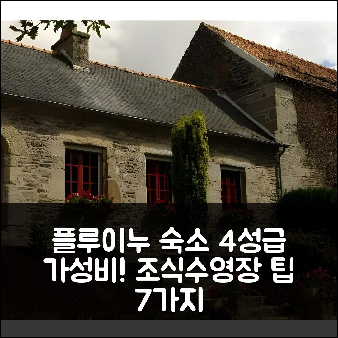 플루이누 숙소 여행 호텔 추천 도멘 르 푸이 드 잔 호텔 | 4성급 가성비 좋은 조식과 수영장 팁 7가지