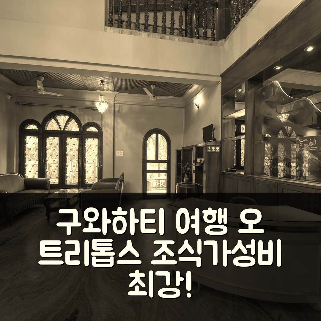 구와하티 숙소 여행 호텔 추천 오 트리톱스 게스트하우스 | 조식과 가성비 뛰어난 5가지 매력 포인트