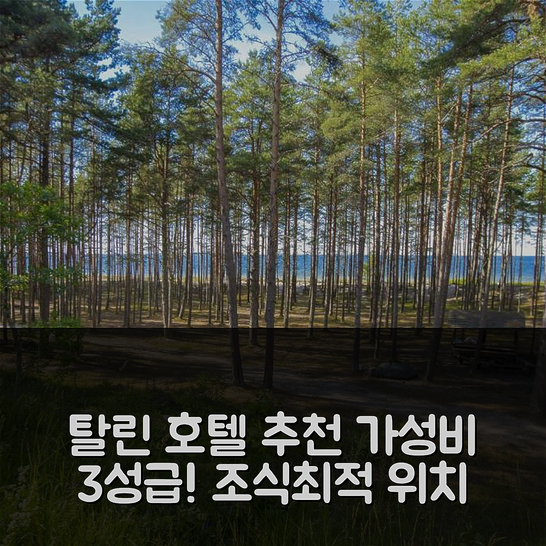 탈린 숙소 여행 호텔 추천 푸케크세쿠스 발클라 랜드 | 가성비 좋은 3성급 조식과 위치 정보 5가지