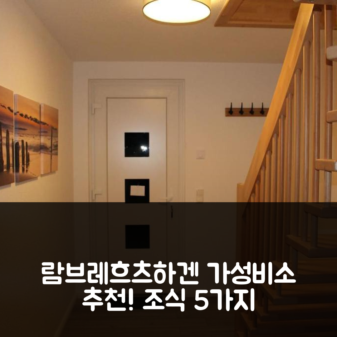 람브레흐츠하겐 숙소 여행 호텔 추천 슈네 54qm 페워 | 가성비 좋은 위치와 조식 정보 5가지
