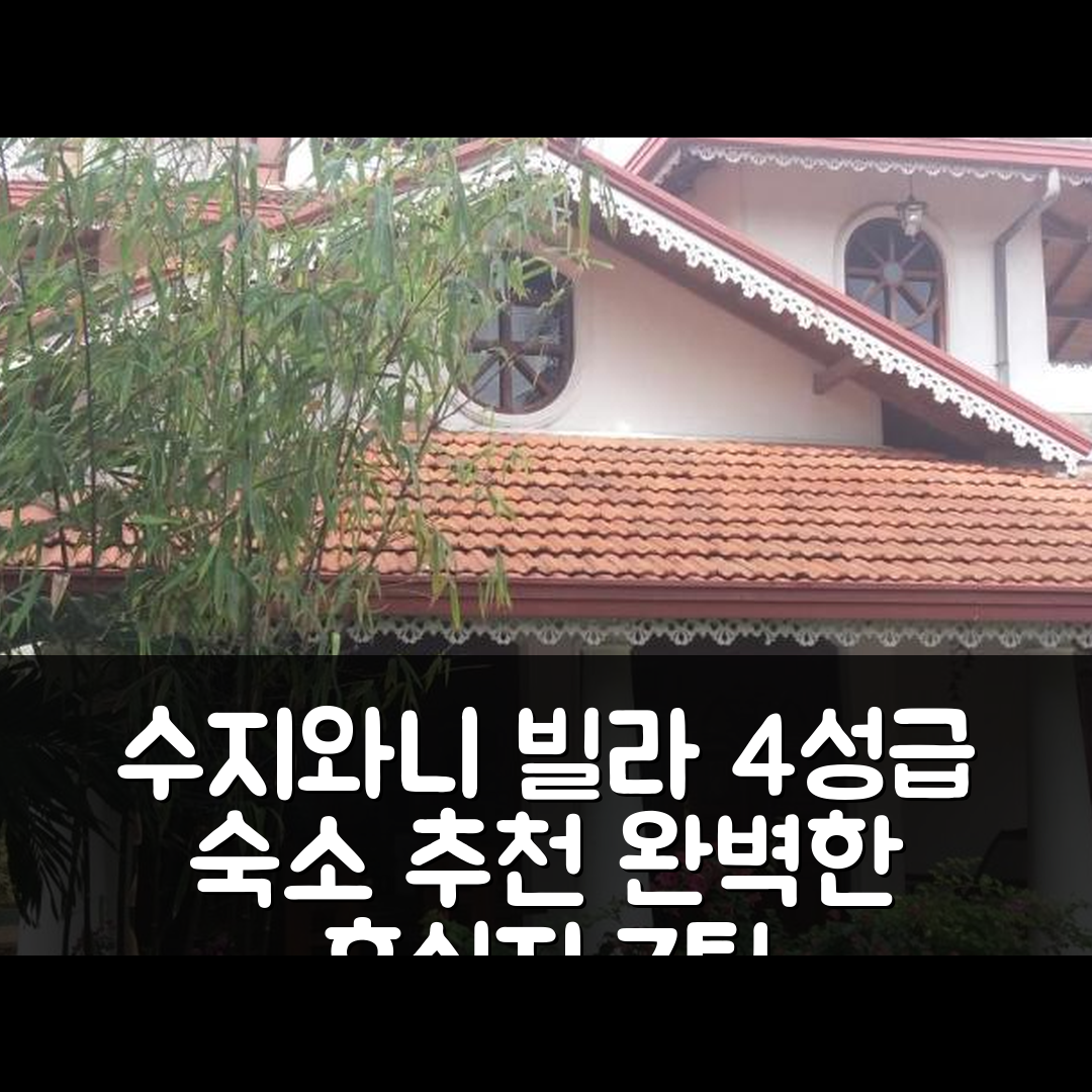 네곰보 숙소 여행 호텔 추천 수지와니 빌라 | 4성급 조식과 수영장으로 즐기는 완벽한 휴식지 7가지 팁