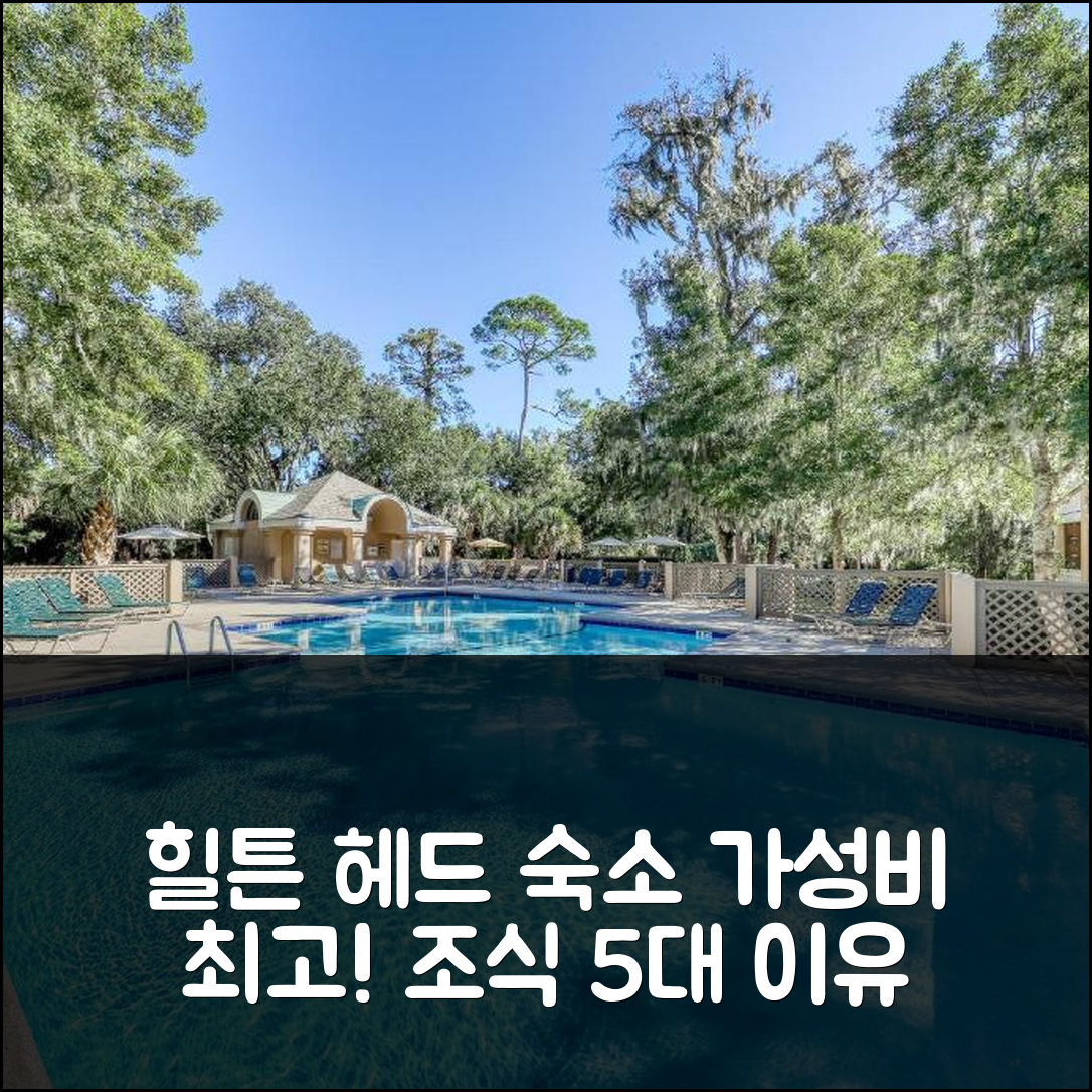 힐튼 헤드 아일랜드 숙소 여행 호텔 추천 콜로나드 클럽 204 | 가성비와 조식이 뛰어난 5가지 이유