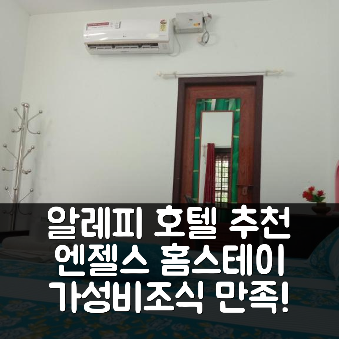 알레피 숙소 여행 호텔 추천 엔젤스 홈스테이 마라리 | 가성비와 조식으로 만족할 수 있는 5가지 이유