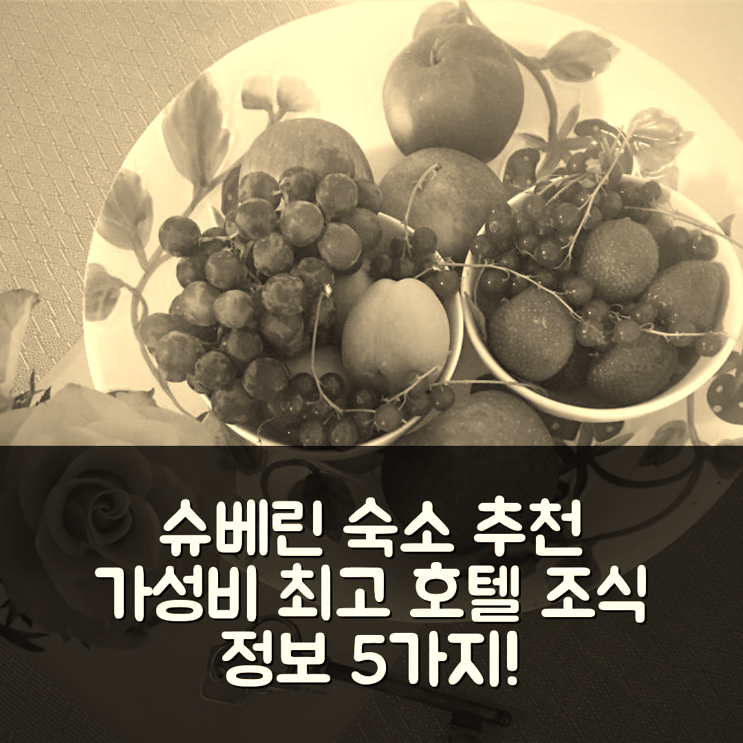 슈베린 숙소 여행 호텔 추천 슈베린 아파트 암 파프엔타이크 호텔 | 위치와 가성비 최고 조식 정보 5가지 팁