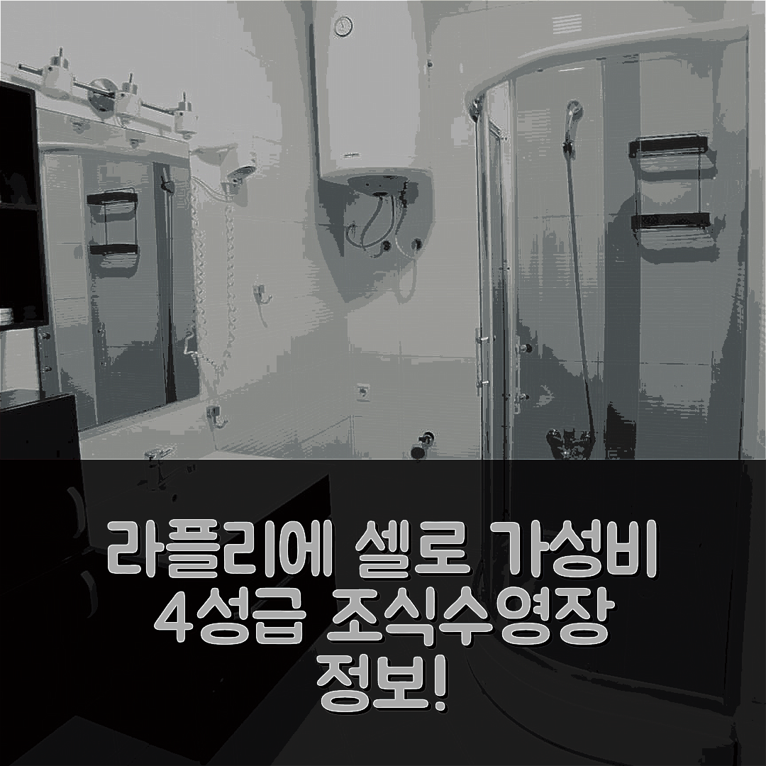 라플리에 셀로 숙소 여행 호텔 추천 시더트리 프리슈티나 | 가성비 뛰어난 4성급 조식과 수영장 정보 8가지