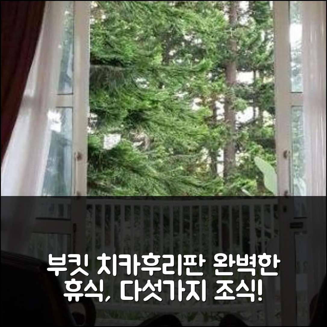 반둥 숙소 여행 호텔 추천 부킷 치카후리판 리조트 | 5가지 조식과 수영장에서의 완벽한 휴식