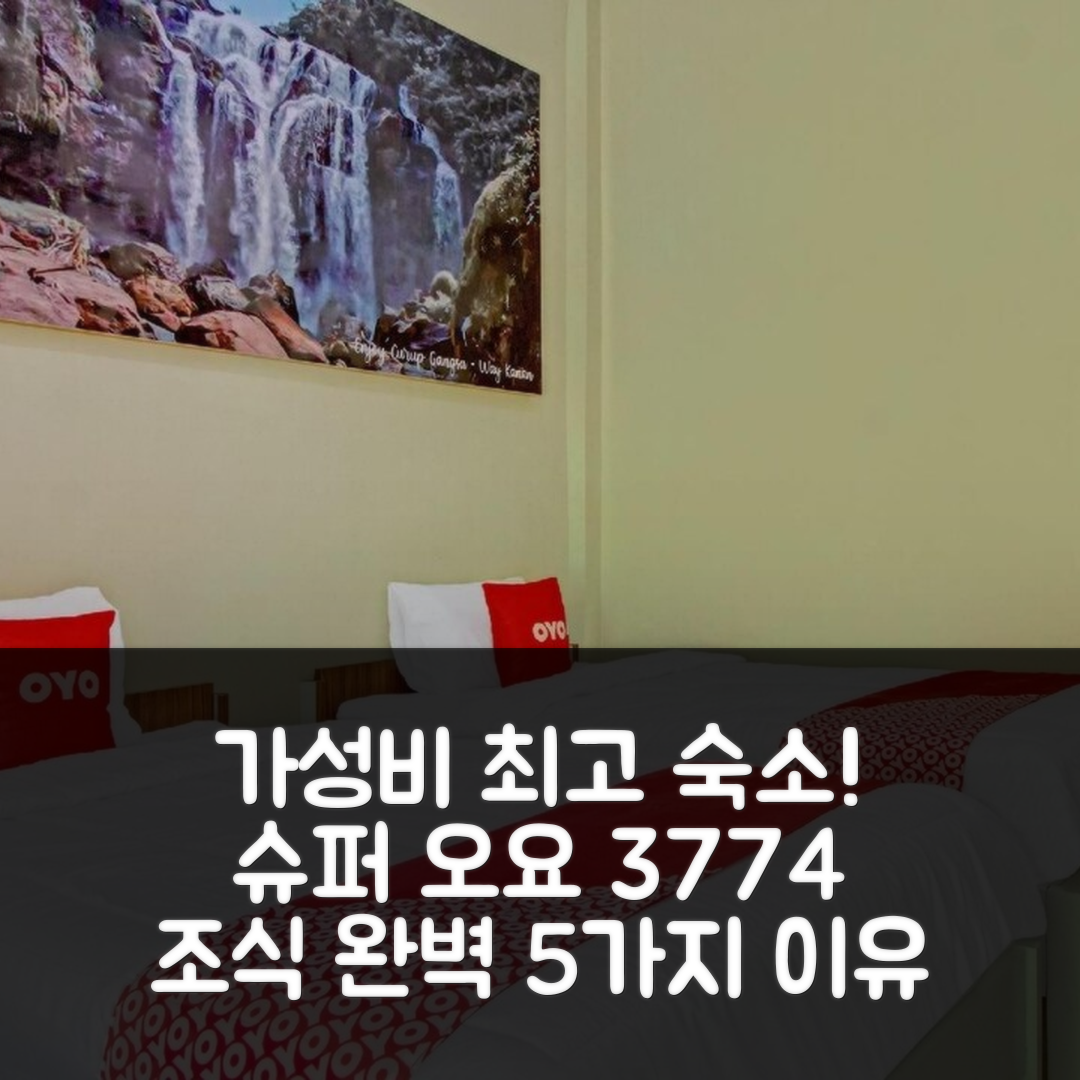 반다르람풍 숙소 여행 호텔 추천 슈퍼 오요 3774 샤키라 시 아리야 게스트 하우스 | 가성비와 조식이 뛰어난 5가지 이유