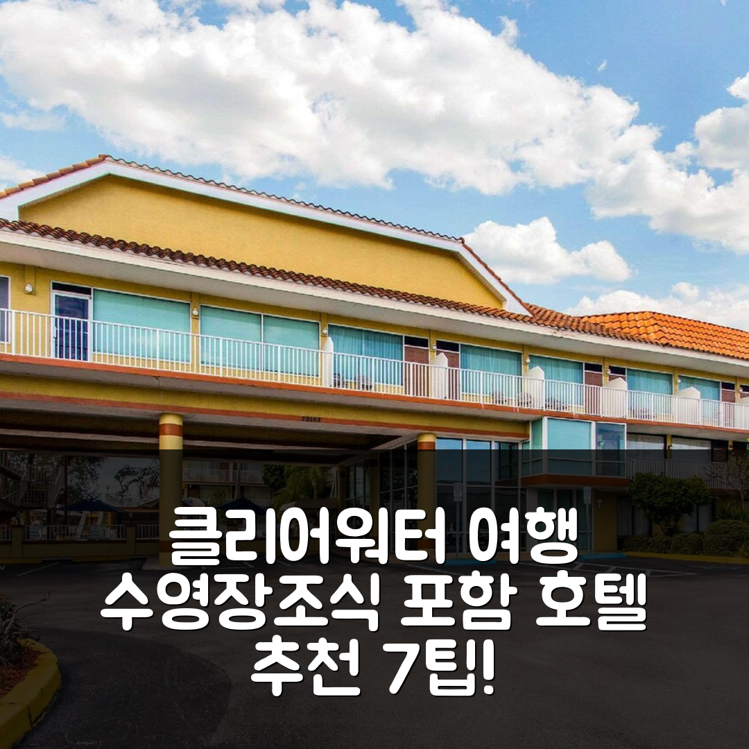 클리어워터 숙소 여행 호텔 추천 센트럴 클리어워터 비치 | 수영장과 조식 포함 7가지 매력적인 팁