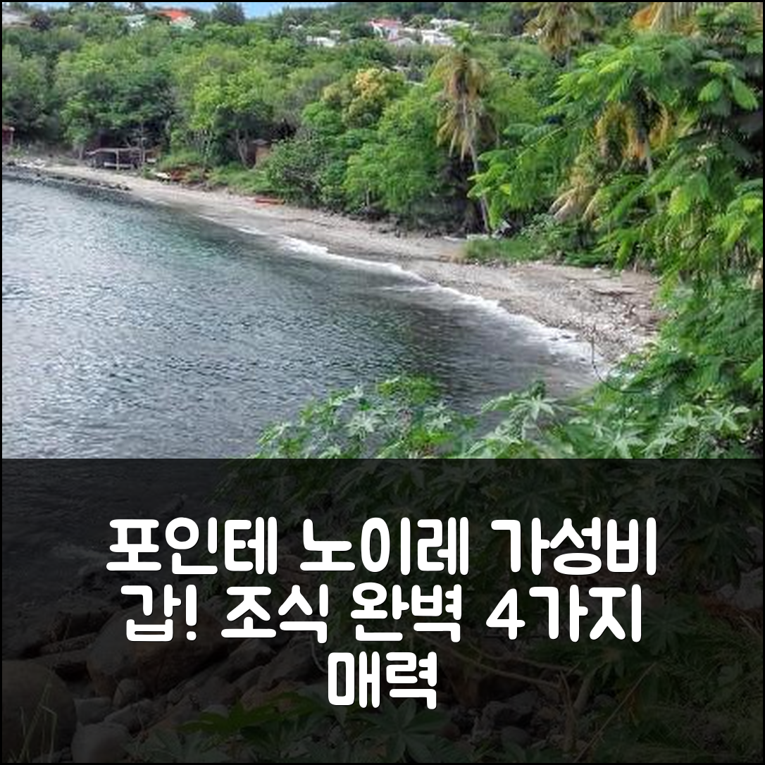 포인테 노이레 숙소 여행 호텔 추천 아파트몽플에서는 가성비와 조식 좋은 4가지 매력 포인트 확인하세요