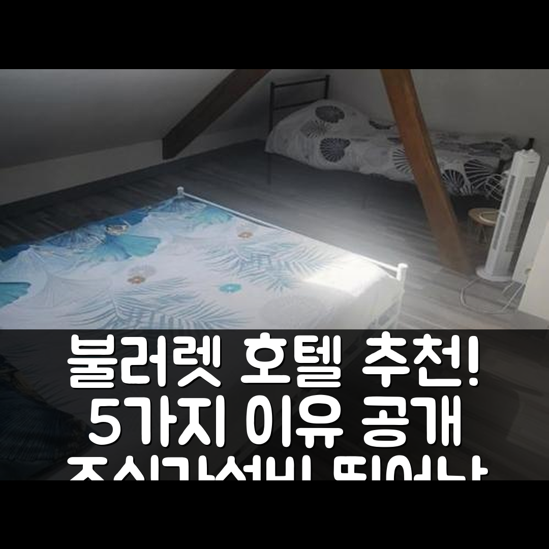 불러렛 숙소 여행 호텔 추천 지트 사비니 샹상세르 | 조식과 가성비가 뛰어난 5가지 이유