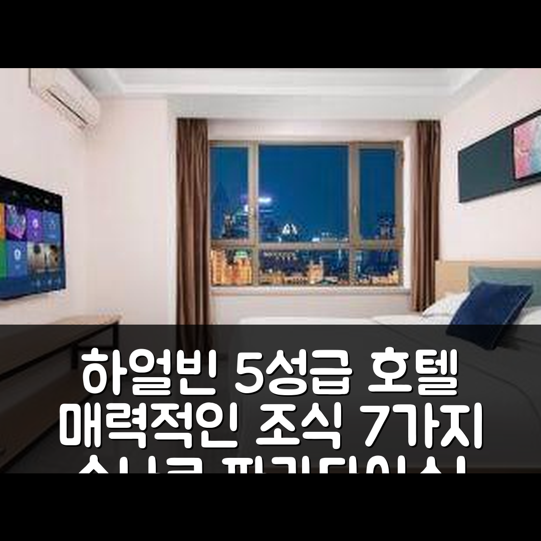 하얼빈 숙소 여행 호텔 추천 하얼빈 수나크 파라다이스 선 아일랜드 | 5성급 위치와 조식이 매력적인 7가지 이유