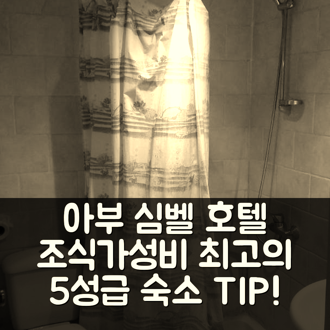 아부 심벨 숙소 여행 호텔 추천 아플리케이터스 호텔 | 조식과 가성비 뛰어난 5성급 숙소 예약 팁 7가지