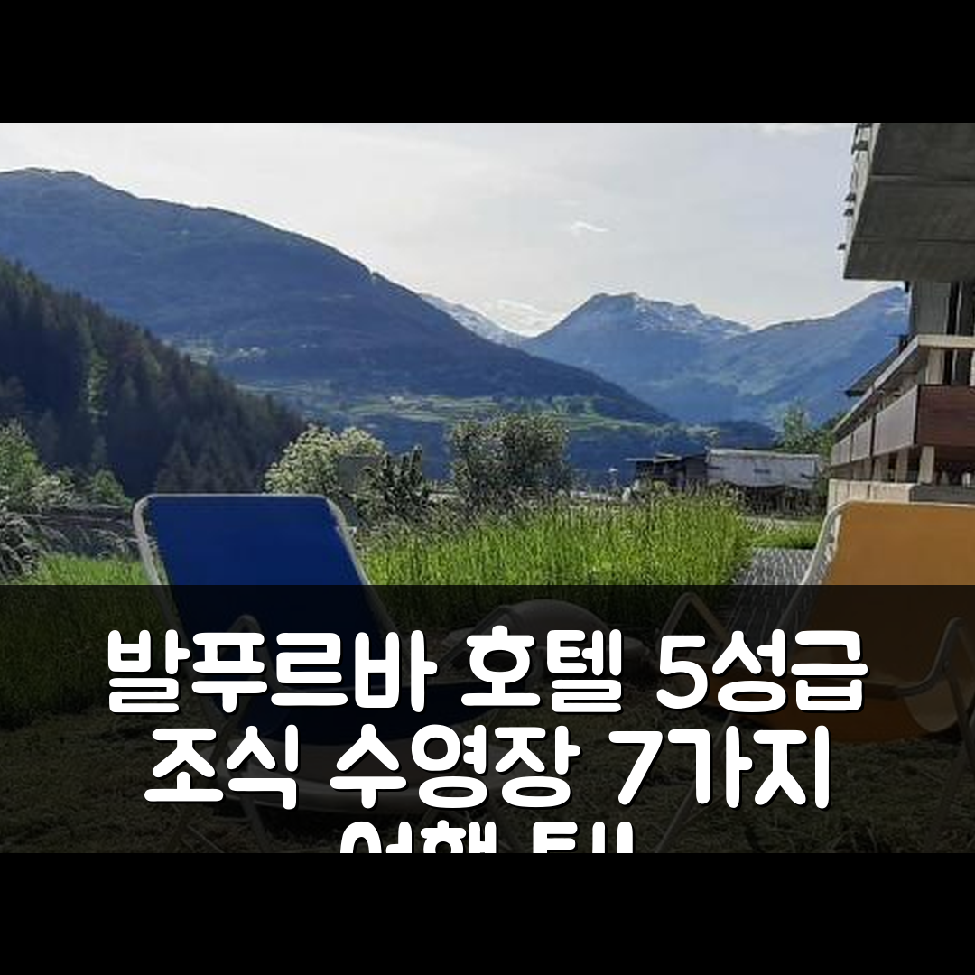 발푸르바 숙소 여행 호텔 추천 도무스 알피나 | 5성급 조식과 수영장 경험하기 7가지 팁